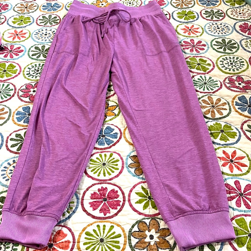 GAP Fit brushed jersey joggers.  Small.